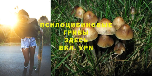 ALPHA PVP Алзамай