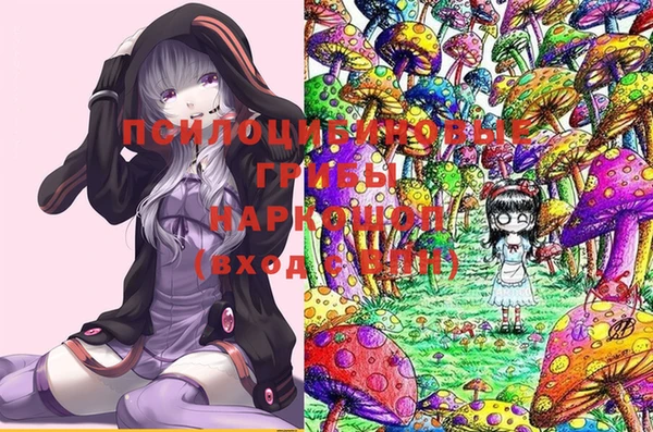 прущие крисы Покачи